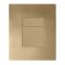 Панель змиву Koer KT-0607-12 157x198x10mm пластикова, кнопка квадратна (колір матове золото) (KR5715)