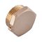 Заглушка Koer KF.P08M.WN - 3/4'' M без нікелю (KR5572)