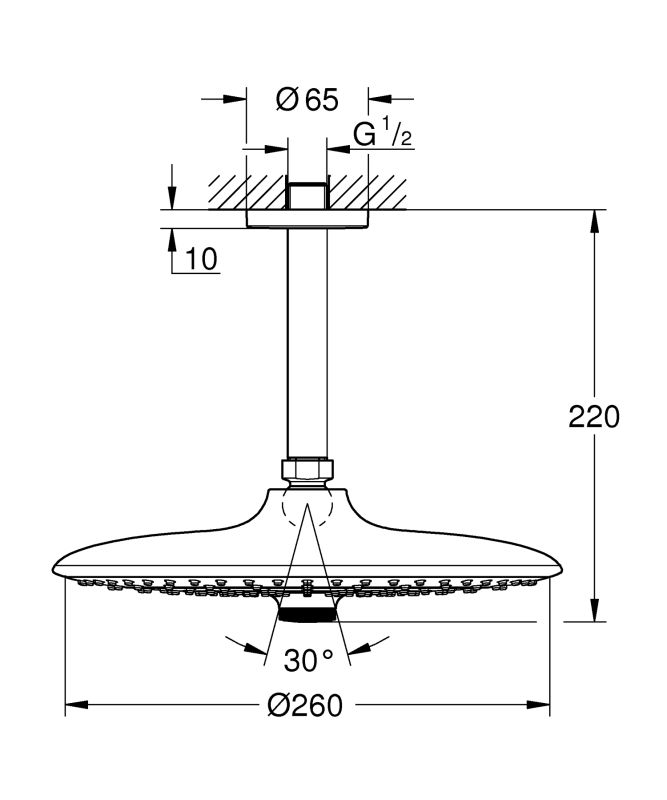 Верхній душ з стельовим кронштейном Grohe Euphoria (26461000)