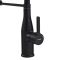 Змішувач для кухні Mixxus Premium Summer 017 BLACK REFL.BLACK (MI6961)