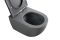 Унітаз підвісний Mixxus Premium ELLIPSE-0309-T1 GRAY 530x360x350mm система змиву TORNADO 1.0 (MP6655)