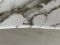 Раковина накладна MIXXUS PREMIUM WAVE-0105 MARBLE 620х360х160mm (MP6559)
