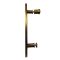 Двері в нішу Koer SR SD01-120x200-TR-12 прозоре скло Easy Clean 8мм, матове золото (KR5377)